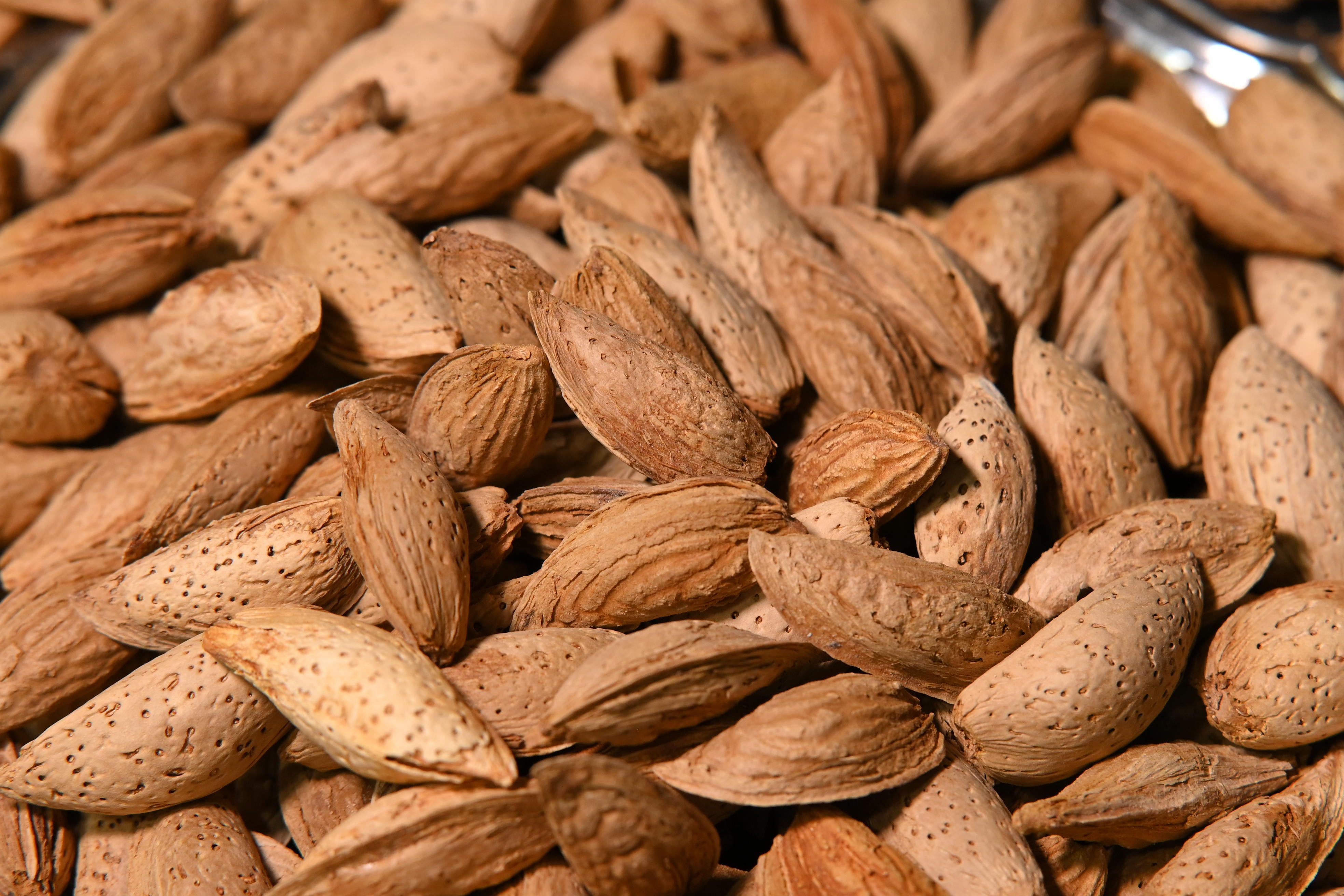 Best Australian Badam (Almonds) Online in Pakistan