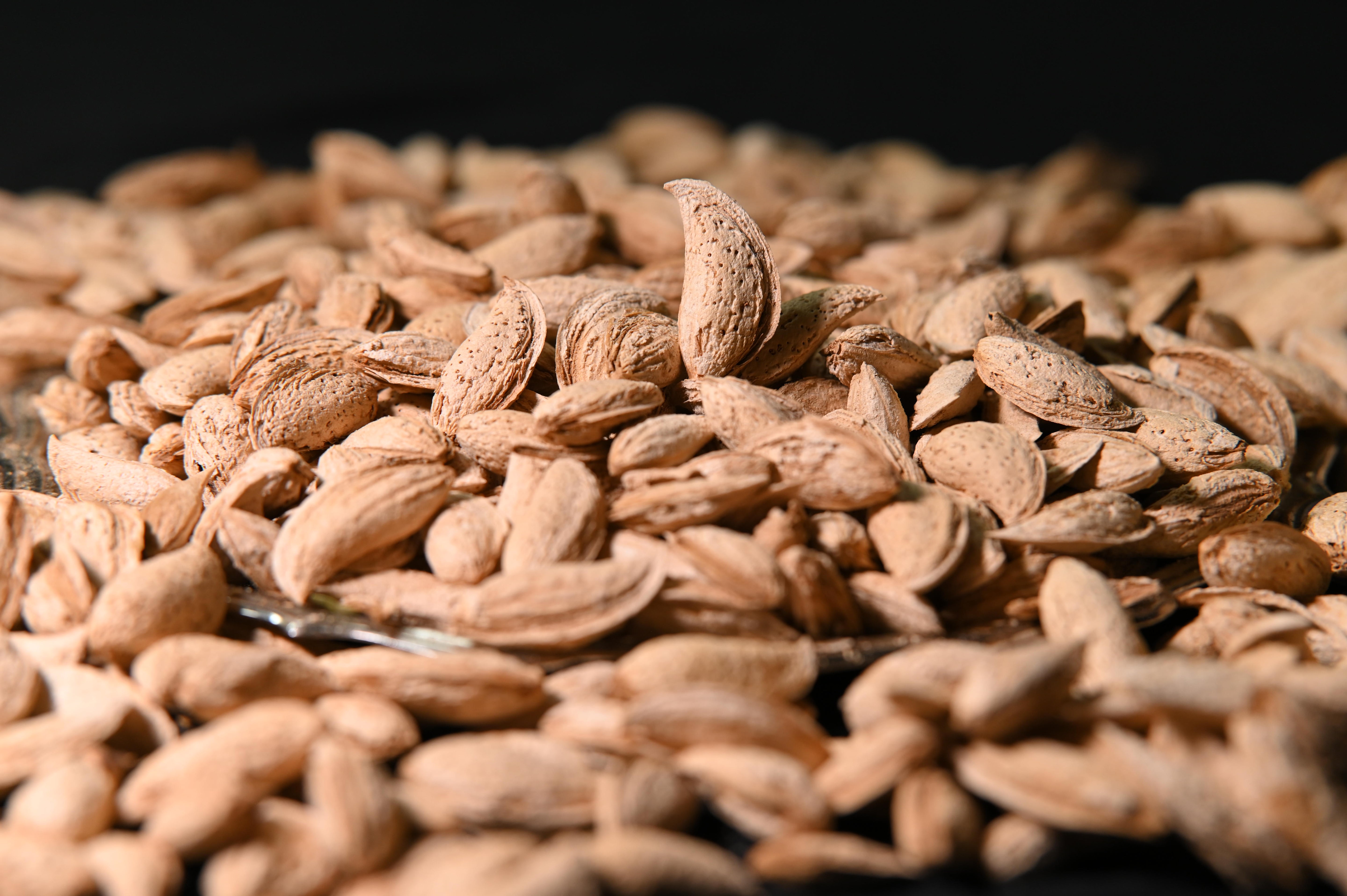 Buy Best Quality Talwar Badam (Almond) online