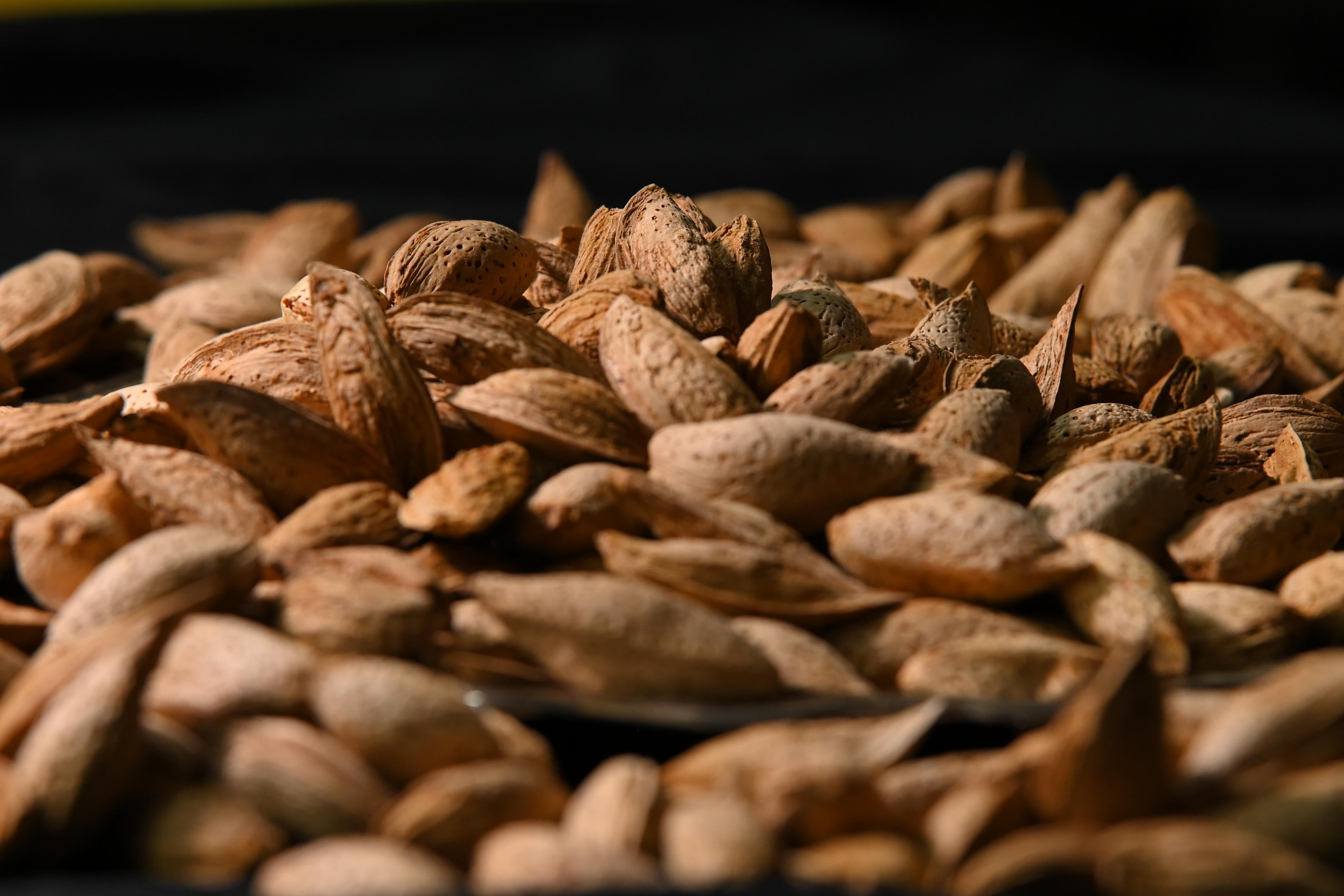 Australian Badam (Almonds) Pakistan