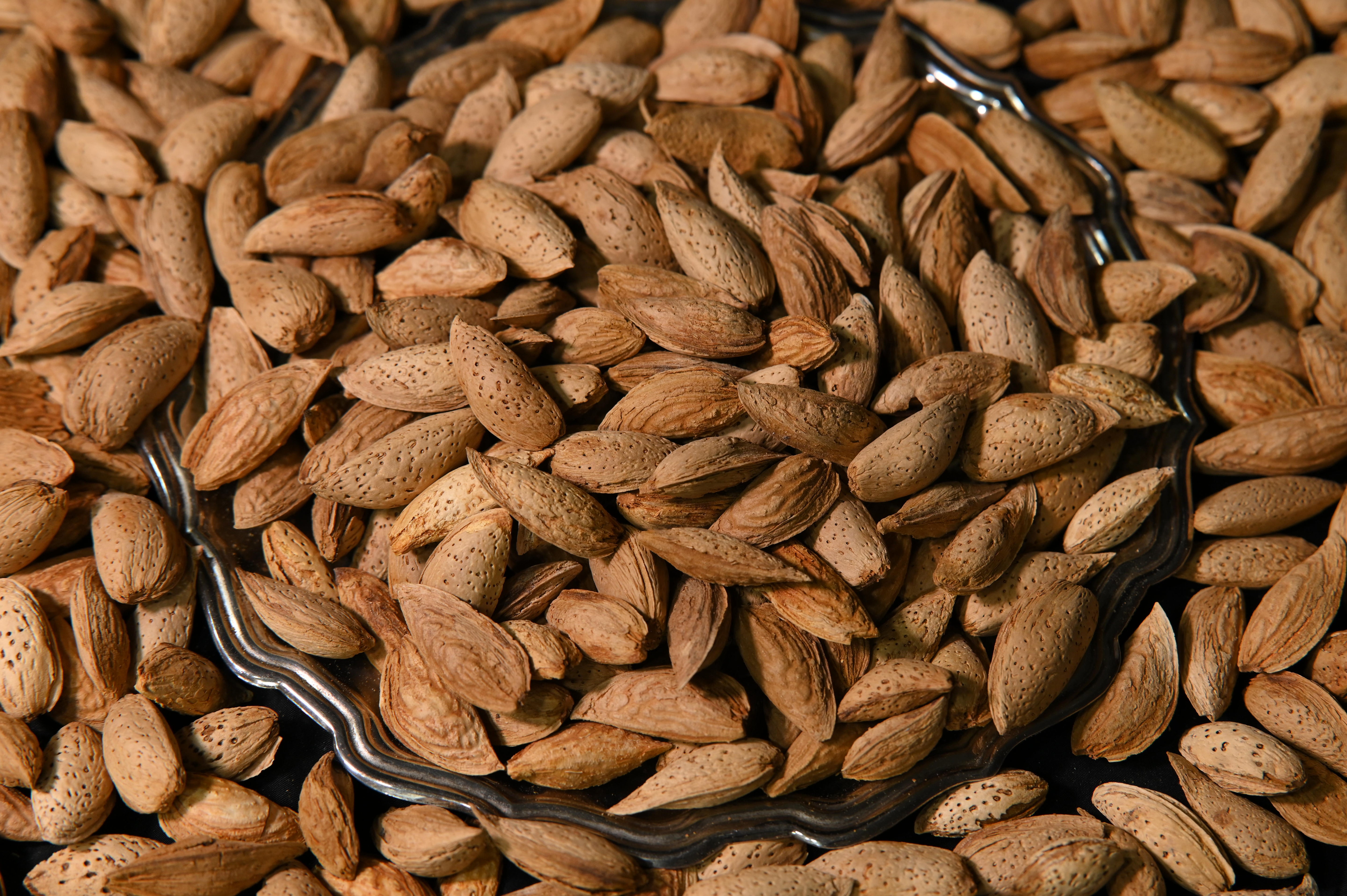 Buy Australian Badam (Almonds) in Pakistan