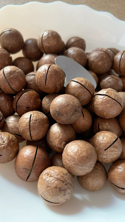 Macadamia Nuts (Chabi wala akhroot) Online In Pakistan