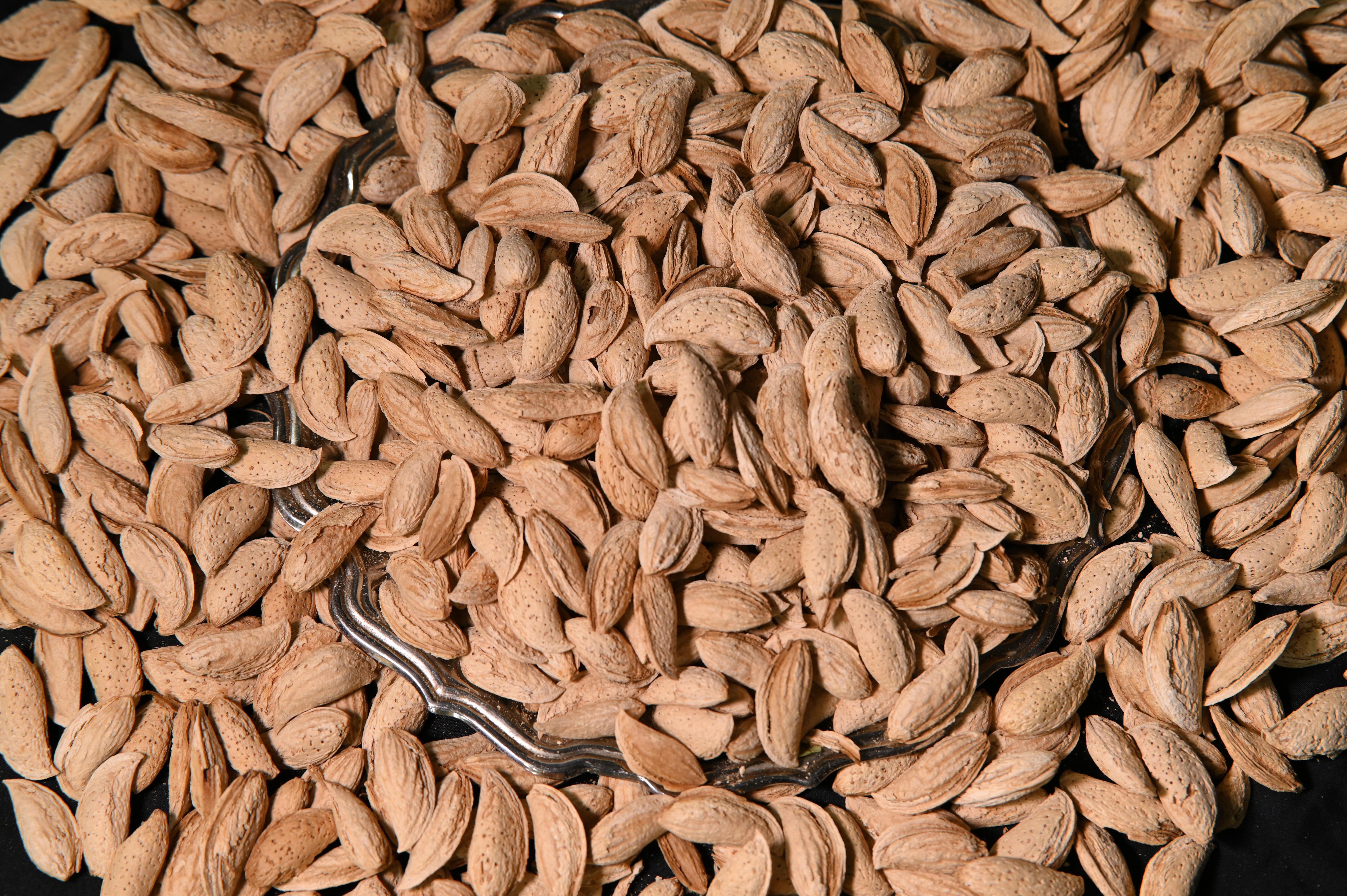 Talwar Badam (Almond) online Pakistan in Pakistan