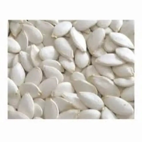 Buy White Beej (Seed) Online